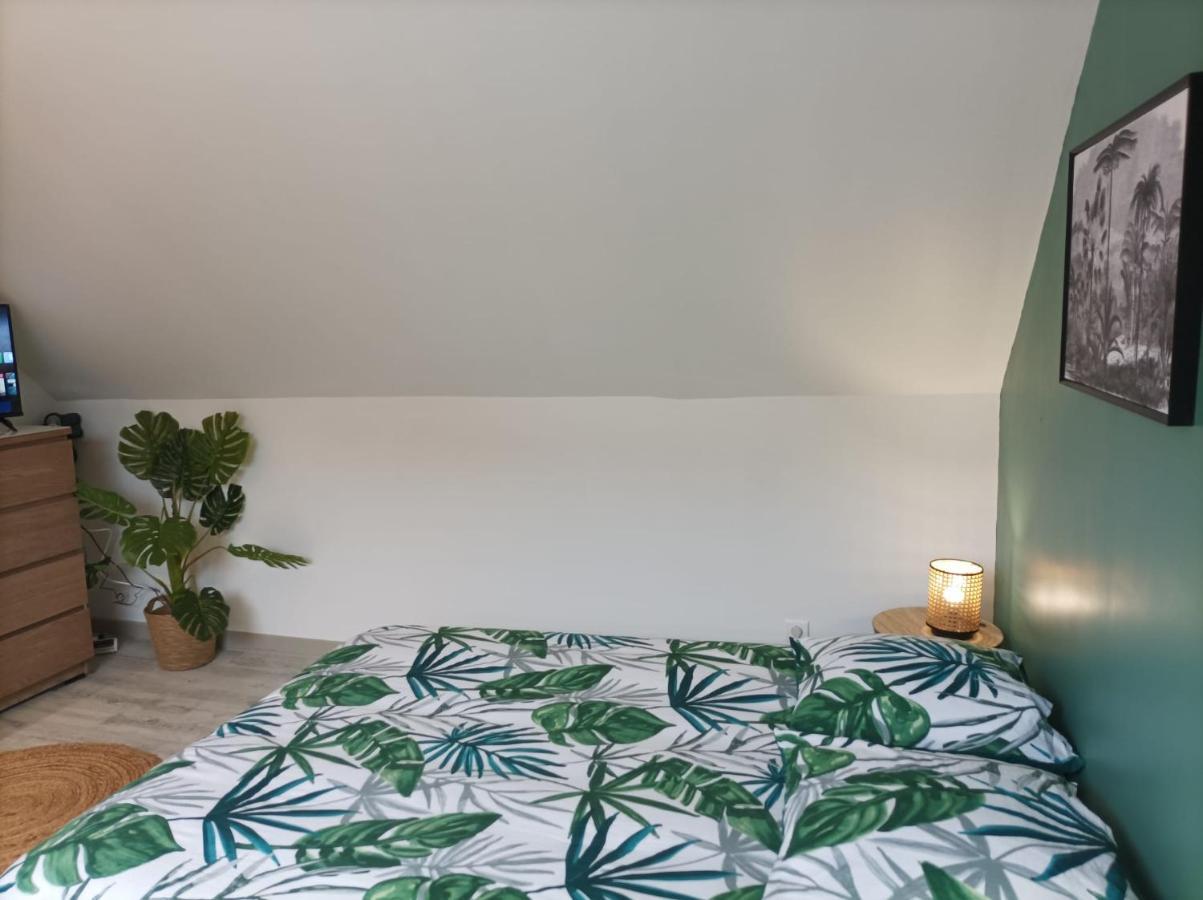 Le Nid 2 Quimper By Nid'Ouest Apartment Luaran gambar