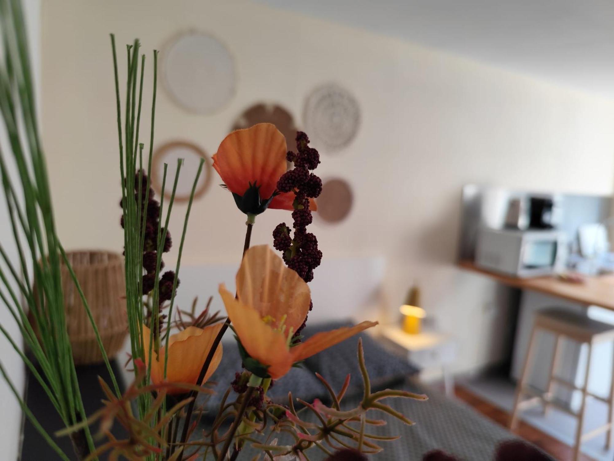Le Nid 2 Quimper By Nid'Ouest Apartment Luaran gambar