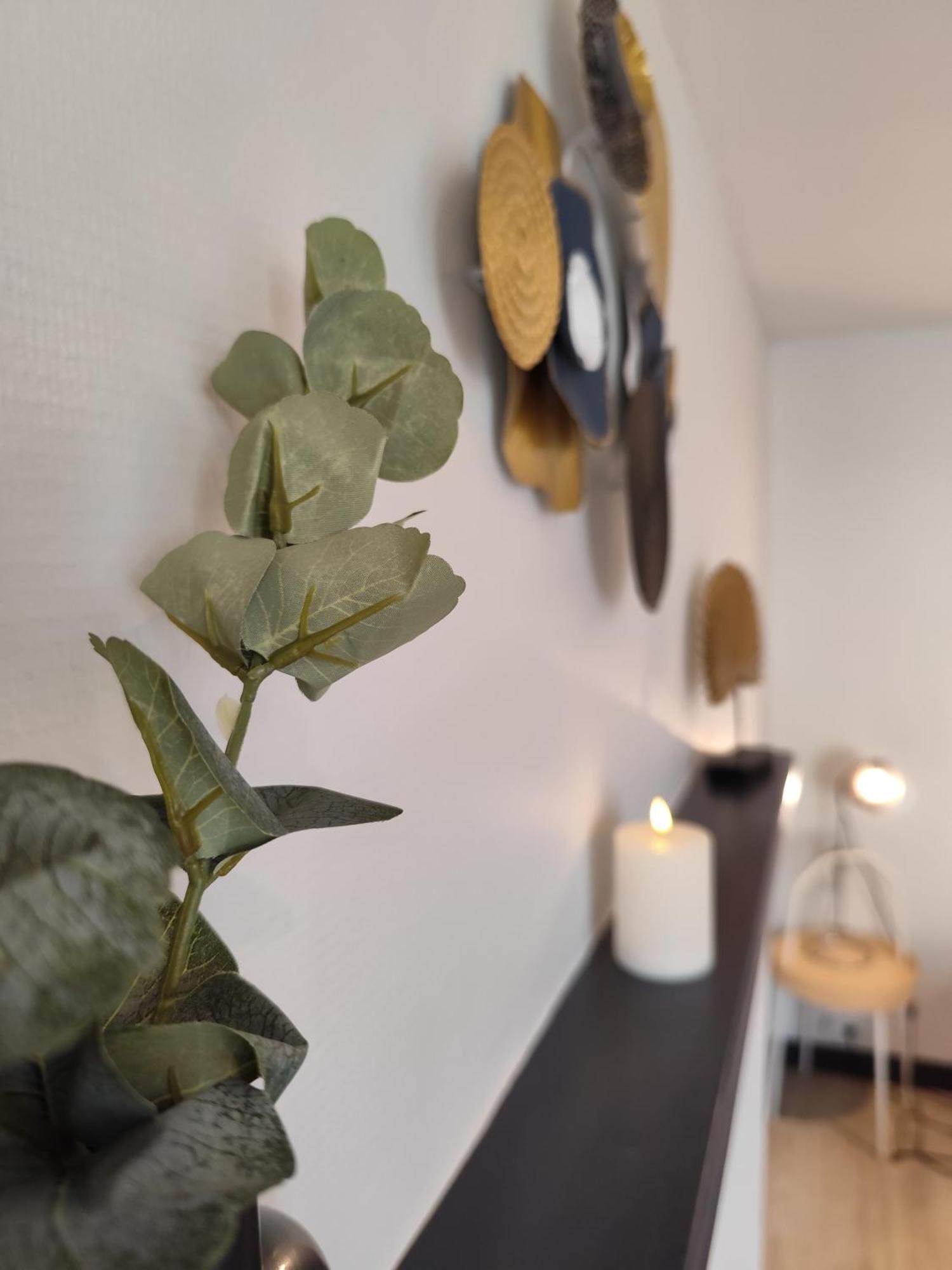 Le Nid 2 Quimper By Nid'Ouest Apartment Luaran gambar